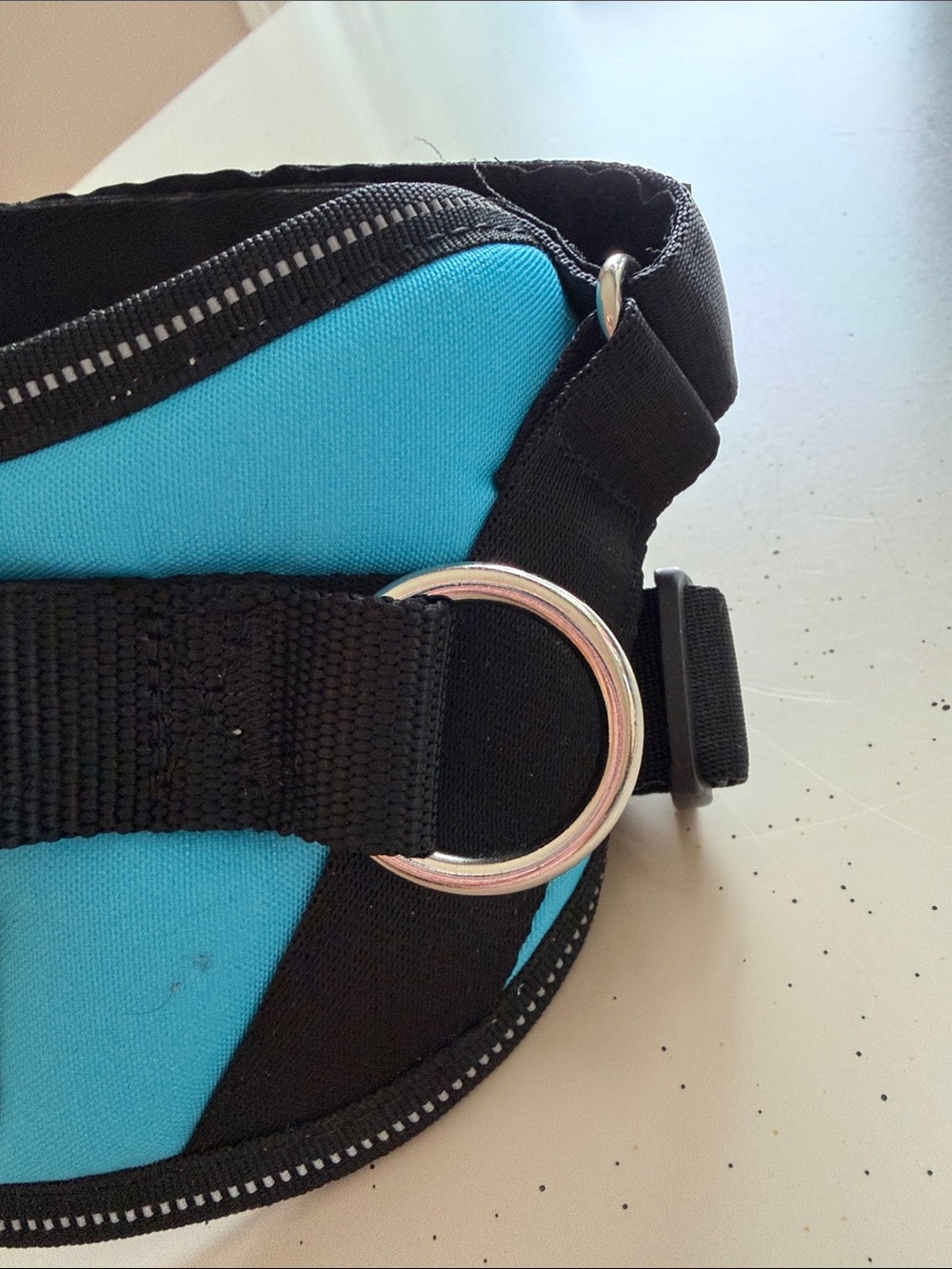 Shawn Co Small Dog Harness - Picture 6 of 8